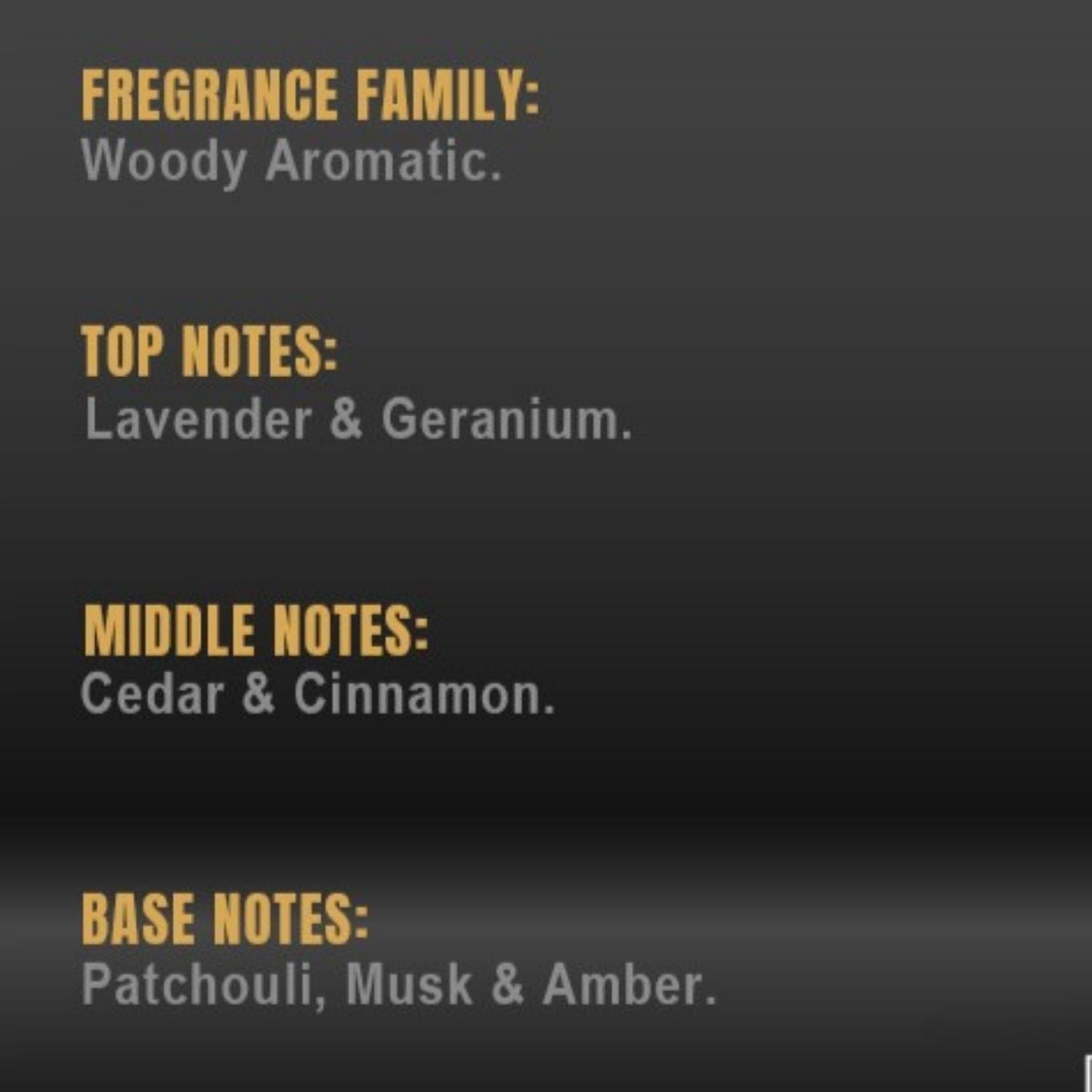 FANATIC CODE Eau de Parfum - 100 ml