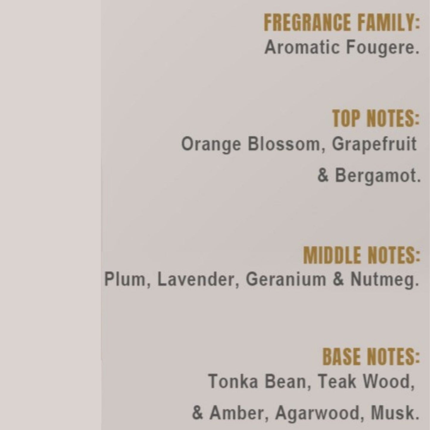 FANATIC 2 Unisex Perfume